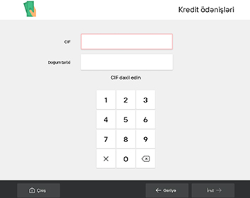 Information about the loan to be paid is entered