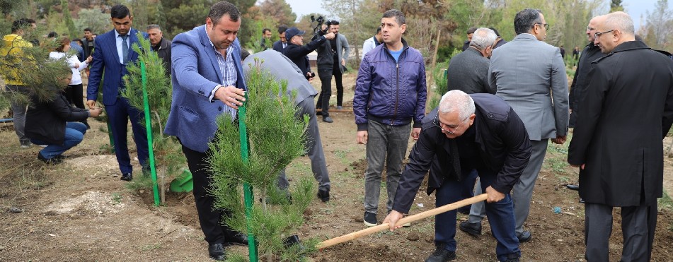 Tree Planting Campaign with the support of Birbank users