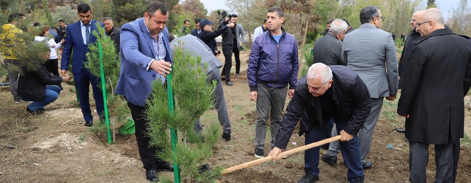 Birbank istifadəçilərinin dəstəyi ilə Gəncədə ağacəkmə aksiyası keçirildi