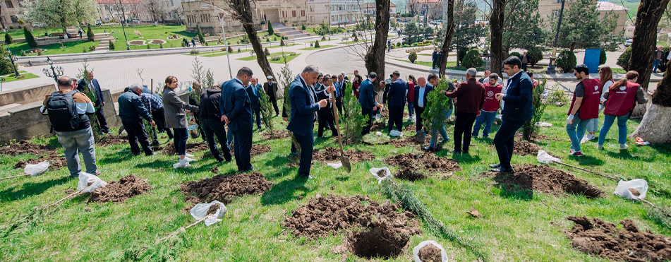 Еще в 3 районах разбиты «Сады Родины»